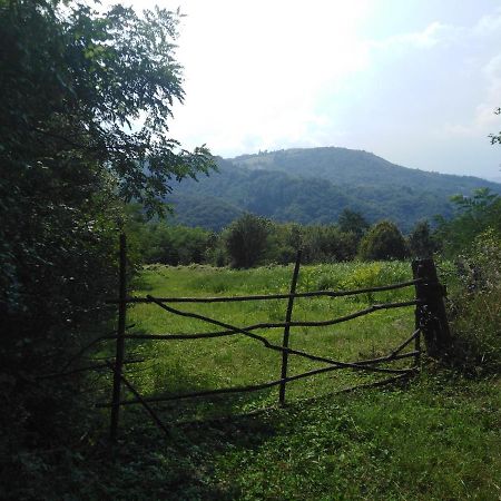 Guesthouse Smiljanic Slavkovica Esterno foto