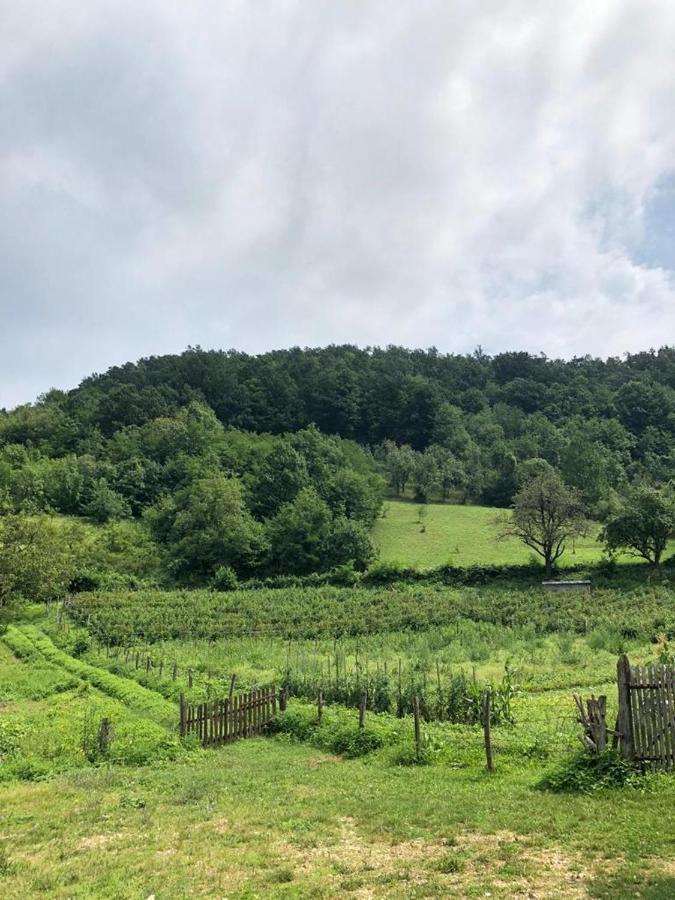 Guesthouse Smiljanic Slavkovica Esterno foto