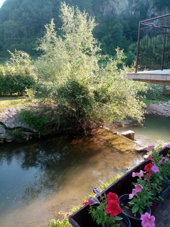 Guesthouse Smiljanic Slavkovica Esterno foto
