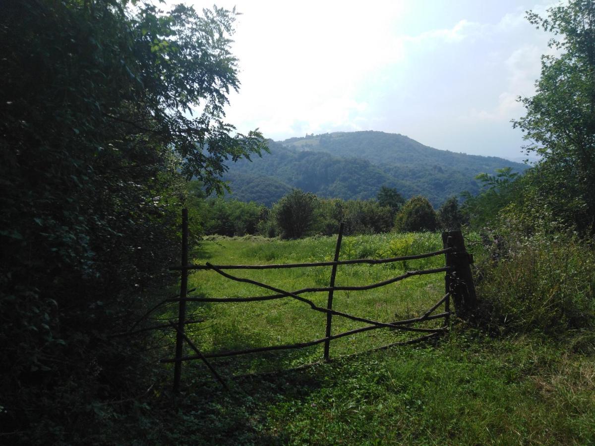 Guesthouse Smiljanic Slavkovica Esterno foto
