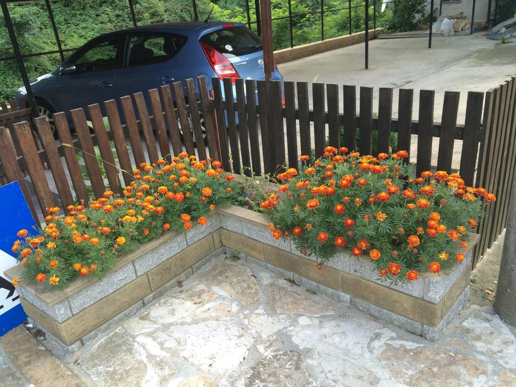 Guesthouse Smiljanic Slavkovica Esterno foto