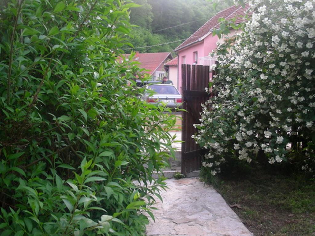 Guesthouse Smiljanic Slavkovica Esterno foto