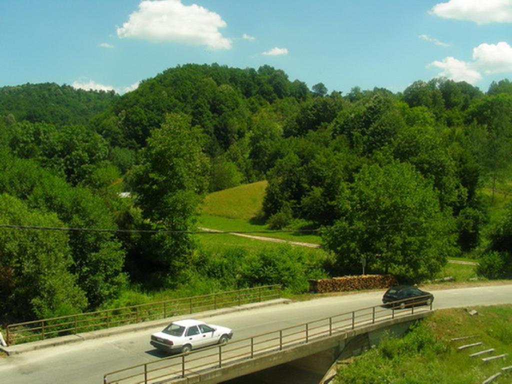 Guesthouse Smiljanic Slavkovica Esterno foto