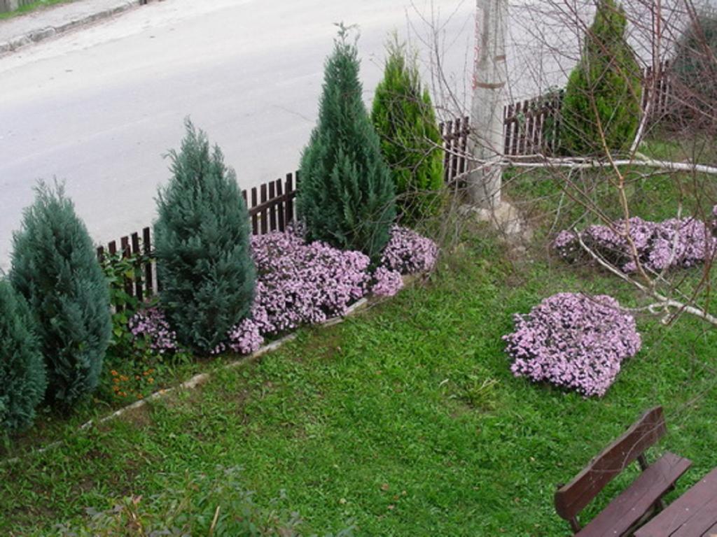 Guesthouse Smiljanic Slavkovica Esterno foto