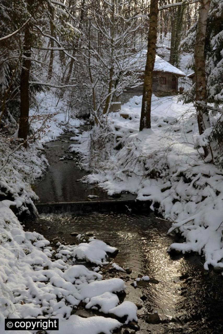 Guesthouse Smiljanic Slavkovica Esterno foto