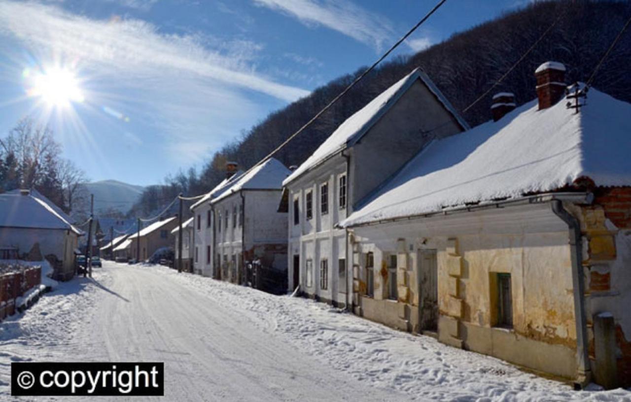Guesthouse Smiljanic Slavkovica Esterno foto