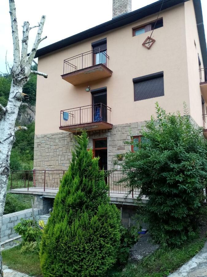 Guesthouse Smiljanic Slavkovica Esterno foto